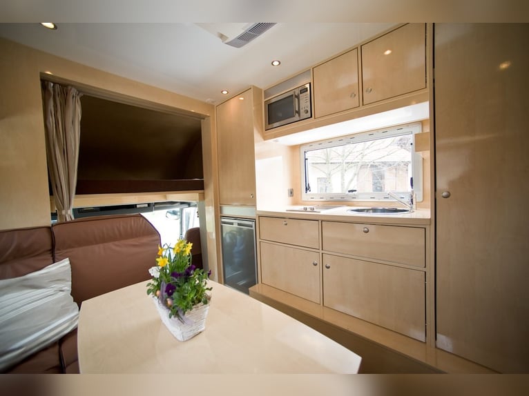 MAN 15.280 Gimmel 5 paardentransporter met woonruimte, WC, douche, vrachtwagen