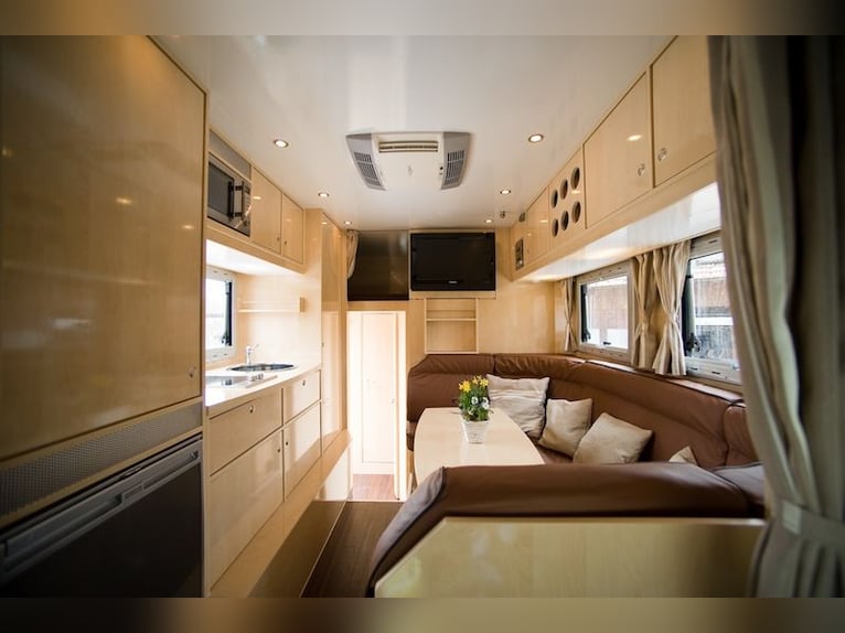 MAN 15.280 Gimmel 5 paardentransporter met woonruimte, WC, douche, vrachtwagen