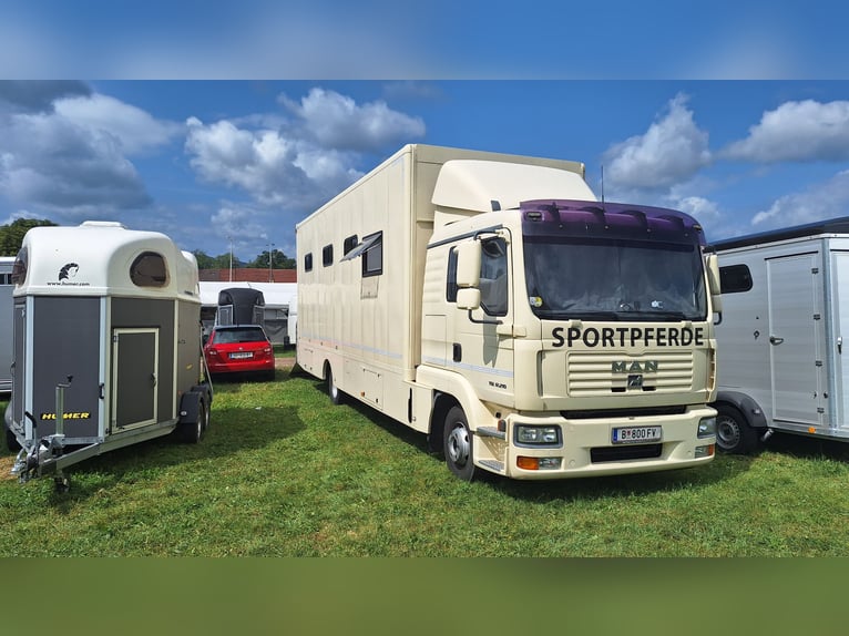 MAN paardentransporter, paarden-truck met wooncabine, geschikt voor 4 paarden
