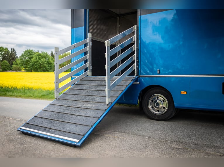 MAN TGL 8.180 paardentransporter