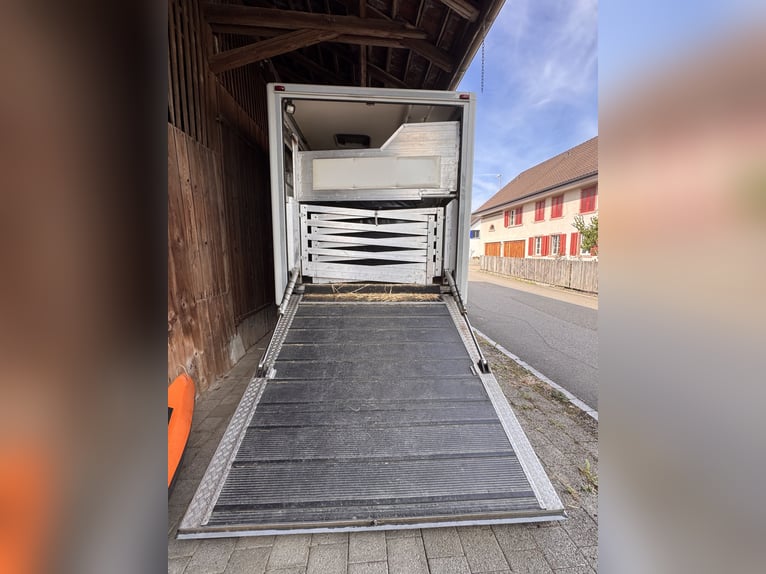 Mercedes-Benz Actros 1831 voor 2-3 paarden of ombouw tot camper