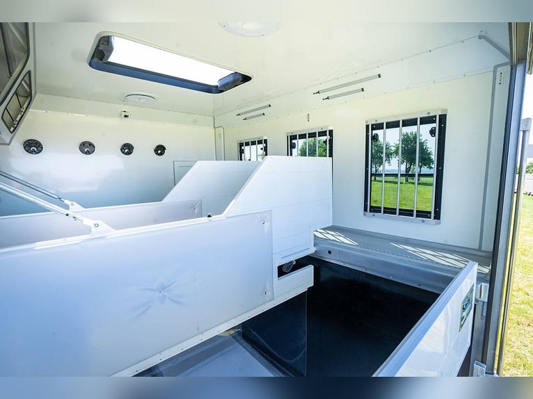 Mercedes-Benz paardentransporter Fuso POP-Out, 3 zitplaatsen, camper, vee-transporter, automatische