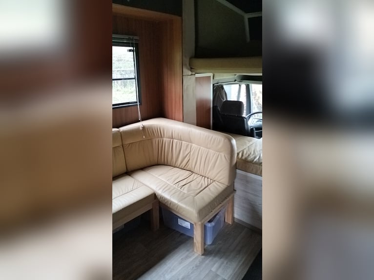 Paardentransporter / Camper