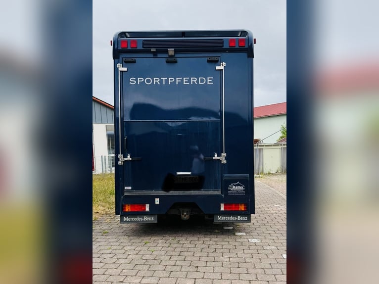 Paardentransporter / Camper - Mercedes Atego - geschikt voor 3 paarden
