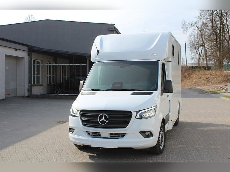 Paardentransporter Dickenherr2-Ride Mercedes automaat, nieuw voertuig, vee-transportwagen, Chevaux