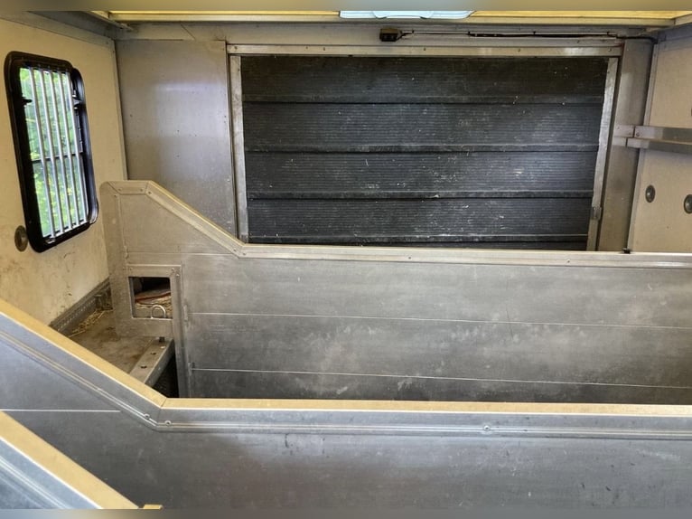 Paardentransporter Iveco Daily voor 3 paarden met wooncabine