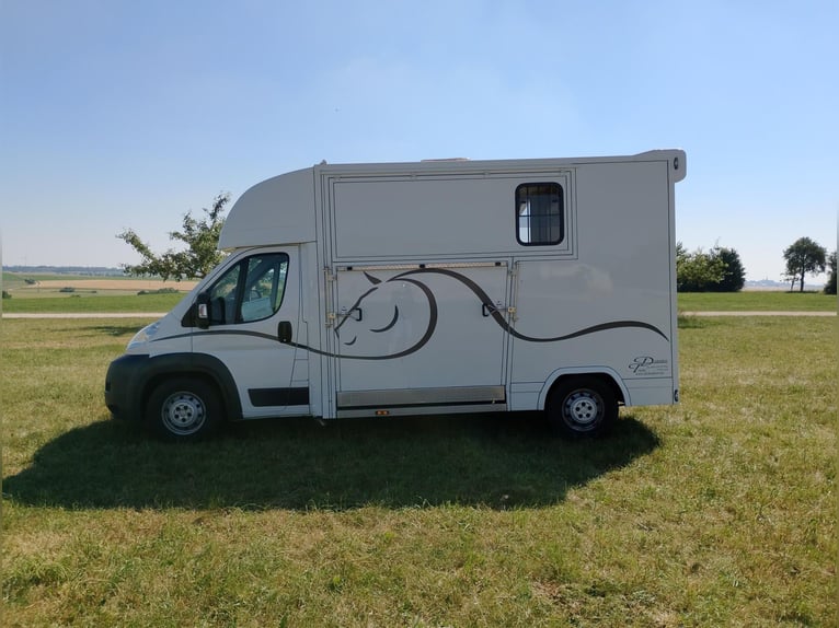 Paardentransporter met 2 zijramen, slechts 20.500 km, vee- en dierenvervoerder, paardentransporter, 