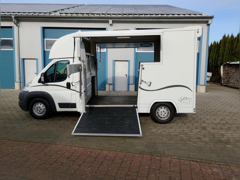 Paardentransporter met 2 zijramen, slechts 20.500 km, vee-transporter, paardenvrachtwagen, horsevan,