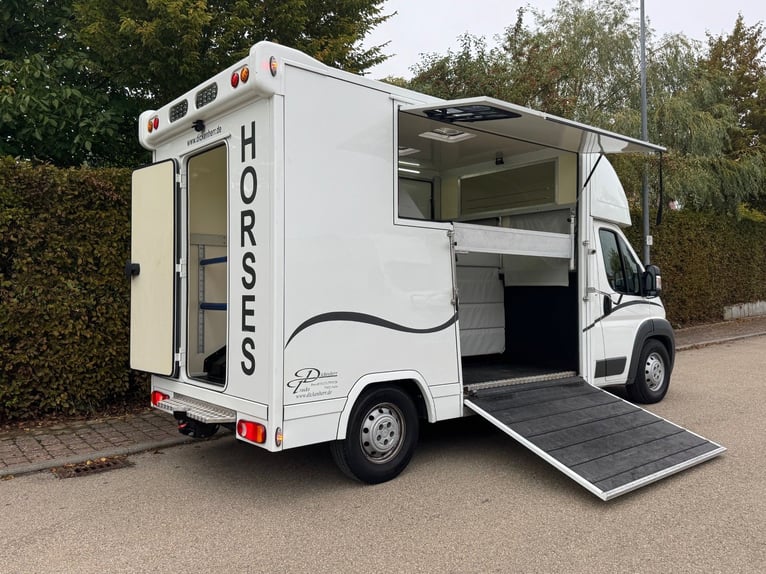 Paardentransporter met 2 zijramen, slechts 20.500 km, vee-transporter, paardenvrachtwagen, horsevan,