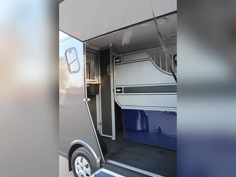 Paardentransporter met 5 zitplaatsen en 3 slaapplaatsen, Renault Master automaat, zelfrijdend, paard