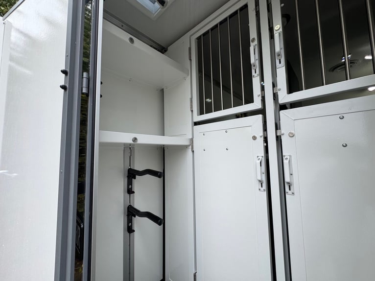 Paardentransporter met 5 zitplaatsen en 3 slaapplaatsen, Renault Master automaat, zelfrijdend, paard