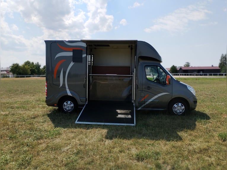 Paardentransporter Roelofsen Automaat, slechts 49.600 km, vee-transporter, zelfrijdend, Horsevan