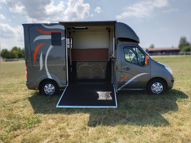 Paardentransporter Roelofsen Automaat, slechts 49.600 km, vee-transporter, zelfrijdend, Horsevan