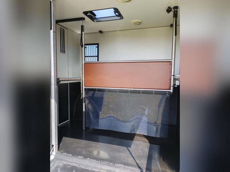 Paardentransporter Roelofsen Automaat, slechts 49.600 km, vee-transporter, zelfrijdend, Horsevan