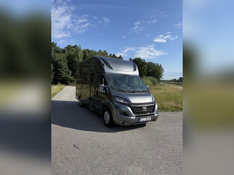 Paardentruck Fiat Ducato met 5 zitplaatsen voor hengst