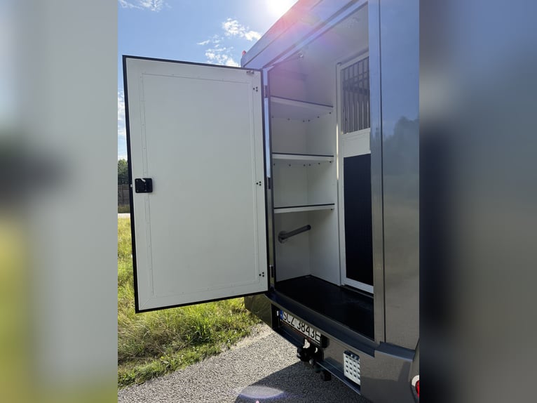 Paardentruck Fiat Ducato met 5 zitplaatsen voor hengst