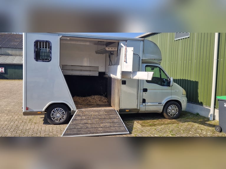 Paardenwagen te koop