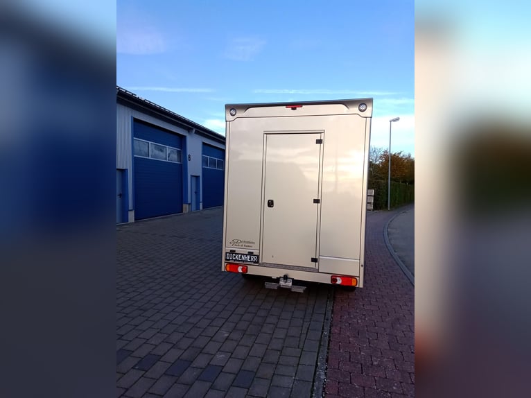 Pferdetransporter DT 2-Ride Renault Master Neufahrzeug Klima 3,5t Horsevan Horsetruck Camion Trailer