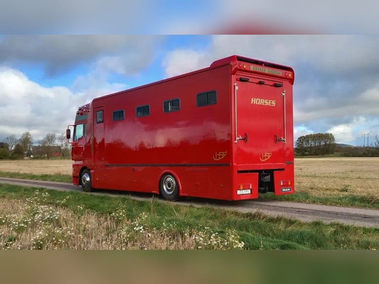 Pferdetransporter Wohnmobil MAN TGA 380PS 6 Pferde lkw Horsetruck Horsecamion Paardenvrachtwagen