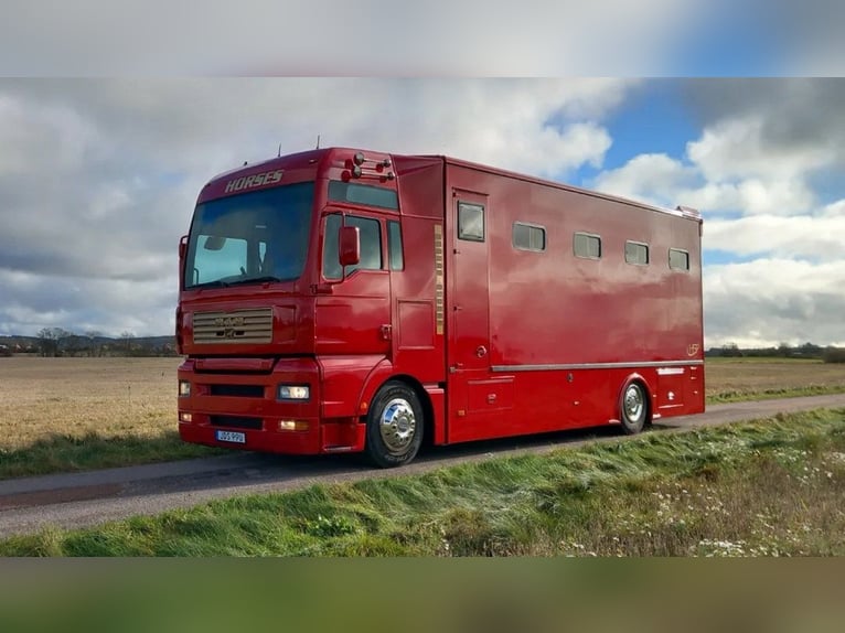 Pferdetransporter Wohnmobil MAN TGA 380PS 6 Pferde lkw Horsetruck Horsecamion Paardenvrachtwagen