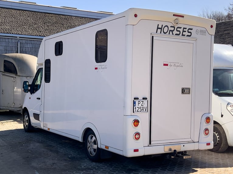 Renault Master - 2 paarden, categorie B (3,5 ton)