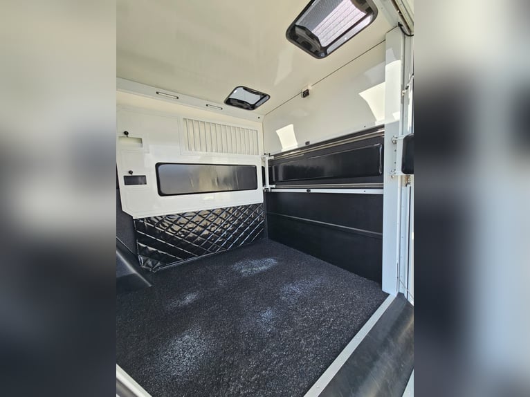 Renault Master koets, Ogier-uitvoering, 5 zitplaatsen