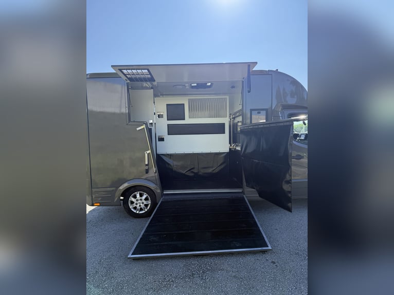 Renault Master paardentransporter met nieuwe opbouw, 5 zitplaatsen, geschikt voor hengsten