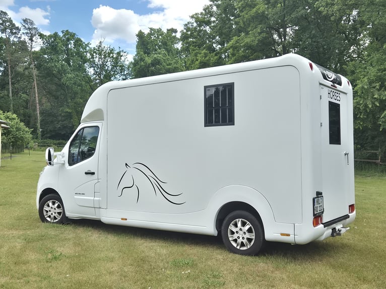 Renault Master STX Paardentransporter | Automaat | 170 pk | 3,5 ton | 34.700 km