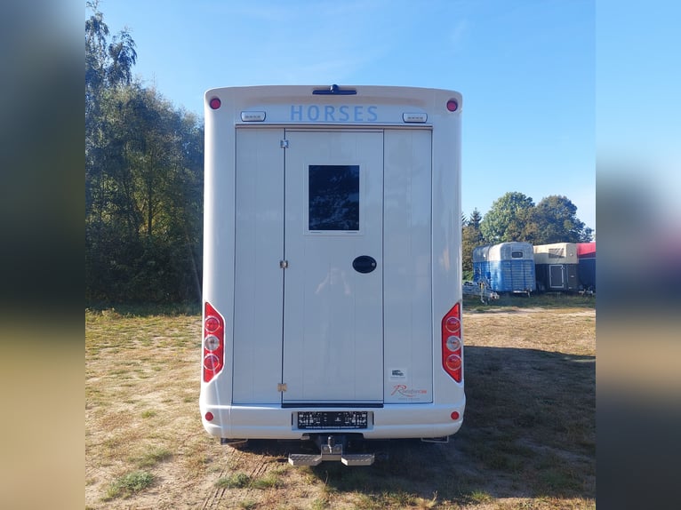 Renault Roelofsen Pferdetransporter Parados Pferde LKW NEU