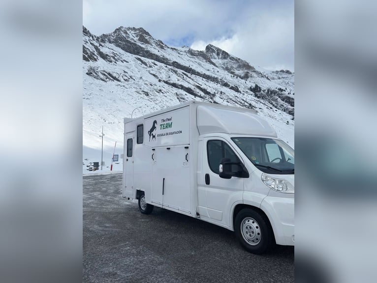 Transportwagen voor 2 paarden