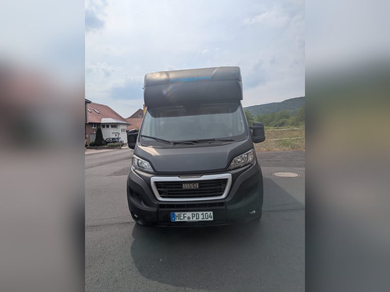 Twee paardentransporters Peugeot