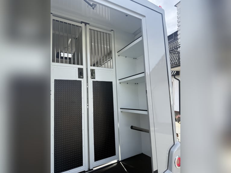 Volkswagen Crafter 4x4 (4Motion) 2023 Nieuw Paardentransportwagen voor Hengst