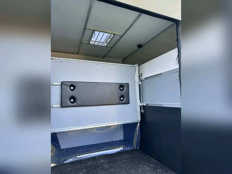 Vrachtwagen voor het vervoer van 2 paarden, stallingsconfiguratie Master