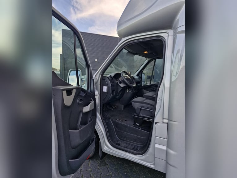 Vrachtwagenpaarden - 2018 Renault Master Anemone