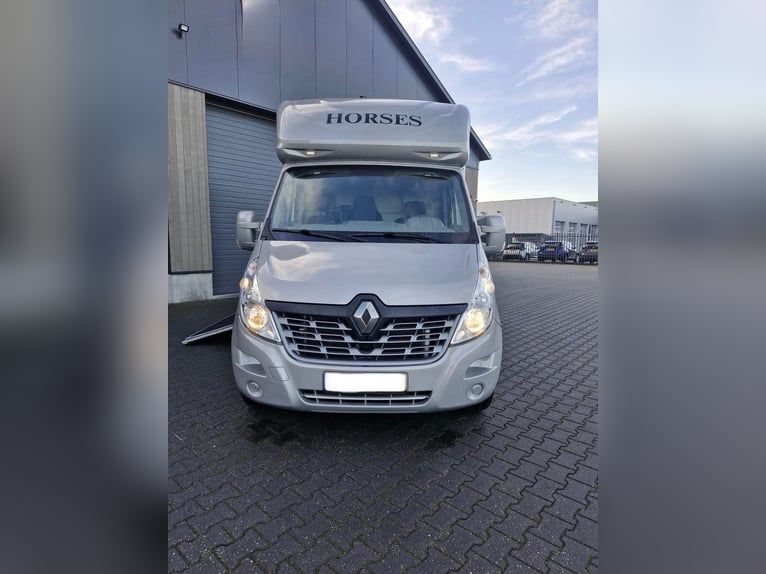 Vrachtwagenpaarden - 2018 Renault Master Anemone