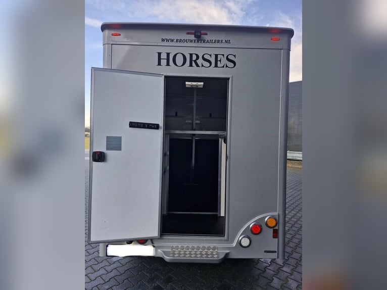 Vrachtwagenpaarden - 2018 Renault Master Anemone