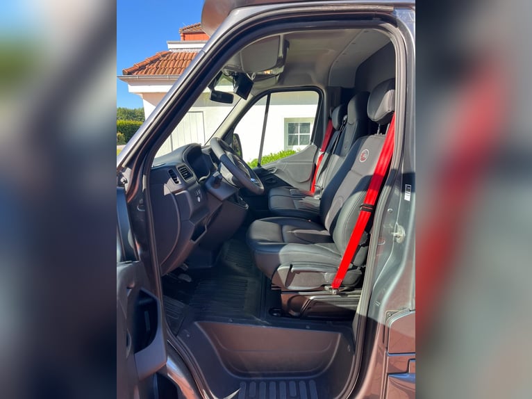 2-plaats paardentransporter Renault Master Equita, weinig gebruikt