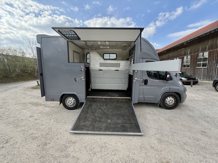 Citroën Jumper 2-paarden transporter, tweedehands, 3-zits