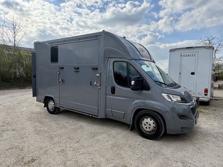 Citroën Jumper 2-paarden transporter, tweedehands, 3-zits