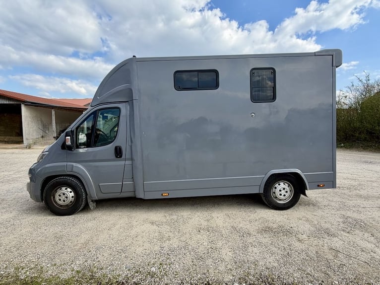 Citroën Jumper 2-paarden transporter, tweedehands, 3-zits