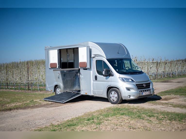 FIAT - DUCATO (2020)