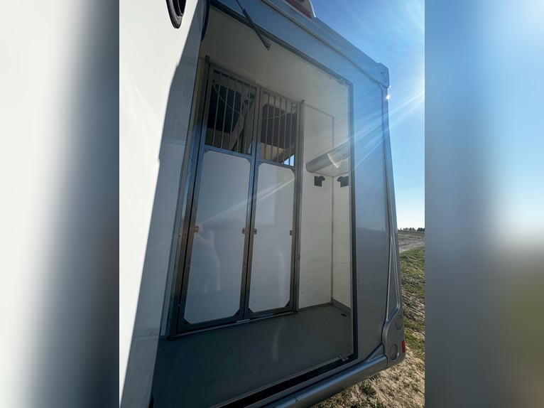 FIAT - DUCATO (2020)