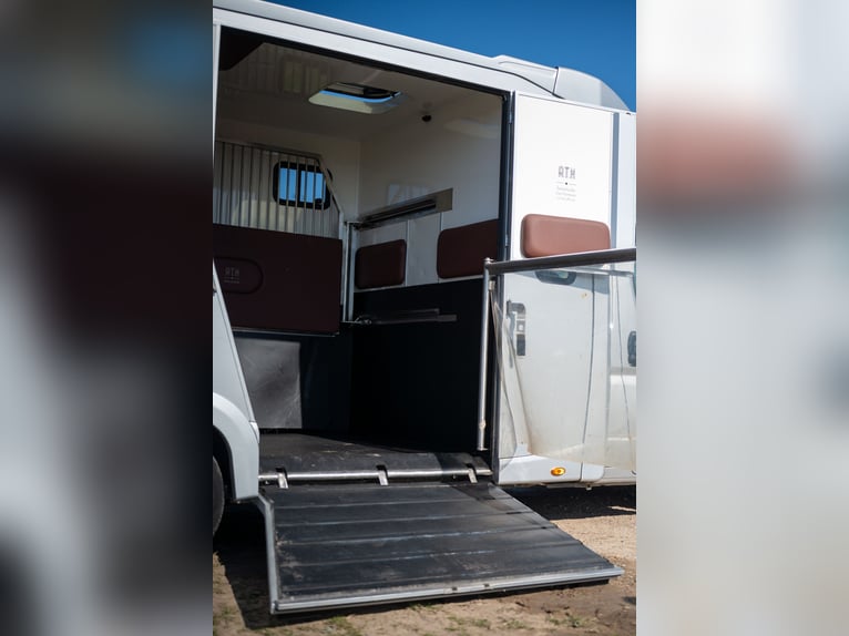 FIAT - DUCATO (2020)