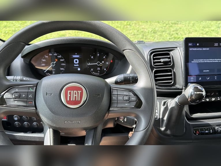 FIAT Ducato Böckmann Compact 2-paarden transporter automaat 5-zits TOP tweedehands voertuig vrachtwa