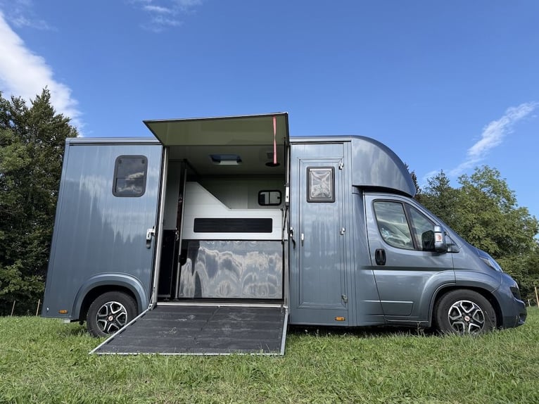 FIAT Ducato Böckmann Compact 2-paarden transporter automaat 5-zits TOP tweedehands voertuig vrachtwa
