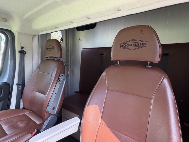 FIAT Ducato Böckmann Compact 2-paarden transporter automaat 5-zits TOP tweedehands voertuig vrachtwa
