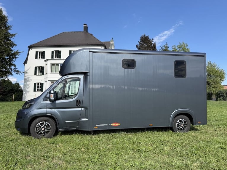 FIAT Ducato Böckmann Compact 2-paarden transporter automaat 5-zits TOP tweedehands voertuig vrachtwa