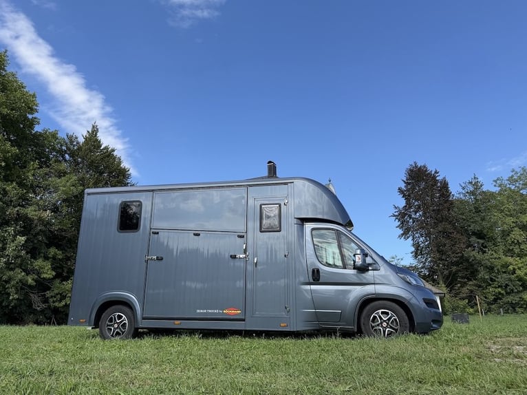 FIAT Ducato Böckmann Compact 2-paarden transporter automaat 5-zits TOP tweedehands voertuig vrachtwa