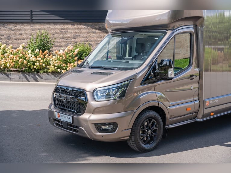 Ford Roelofsen Parados Sport 2-Paardetransporter Deluxe Edition - Automaat - Direct beschikbaar!