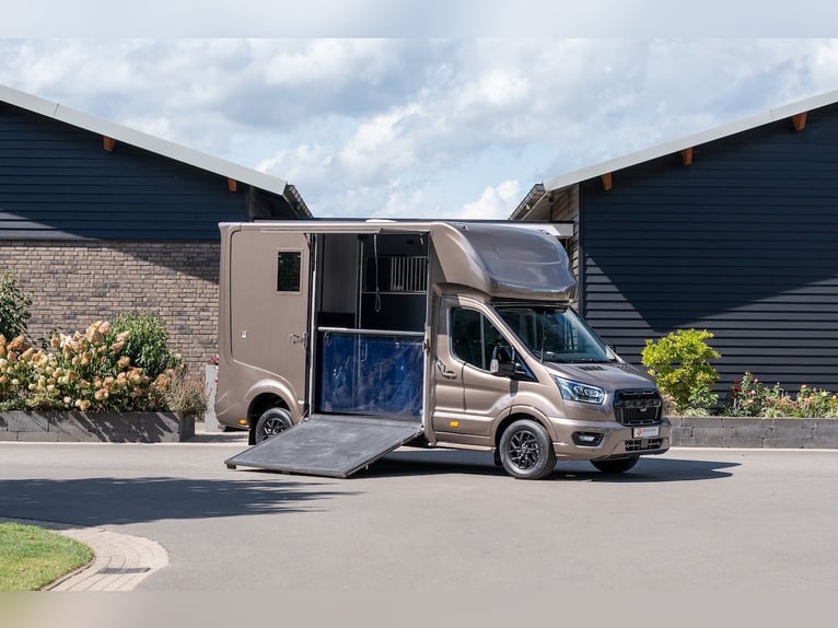 Ford Roelofsen Parados Sport 2-Paardetransporter Deluxe Edition - Automaat - Direct beschikbaar!
